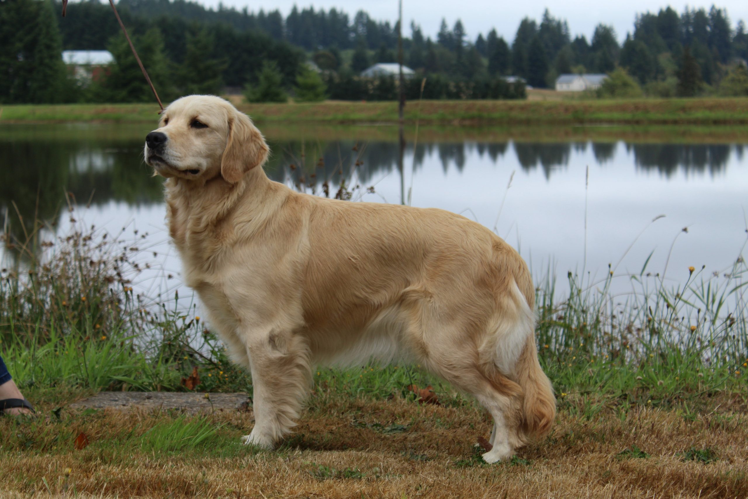 TIZZY BEST TIZZY BEST