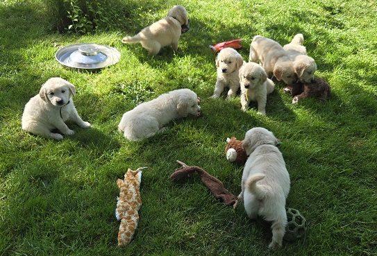BELLA 6 WEEKS GROUP BEST BELLA 6 WEEKS GROUP BEST