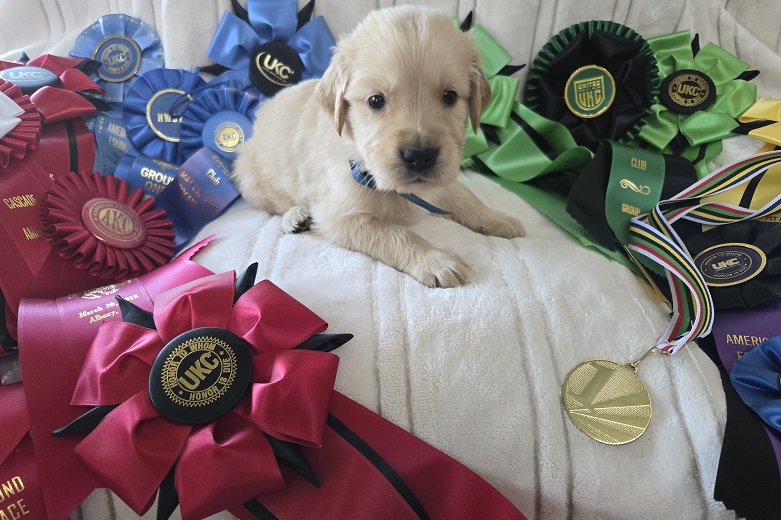 JASMINE 4 WEEKS BLUE BEST