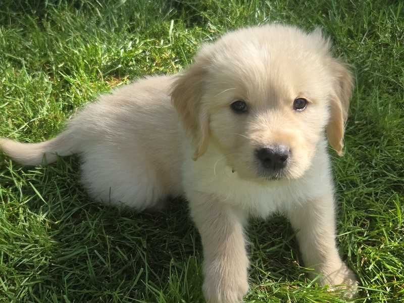 JASMINE 7 WEEK HUNTER 1 BEST