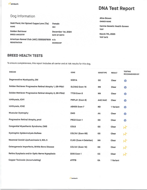 TIA DNA REPORT TIA DNA REPORT