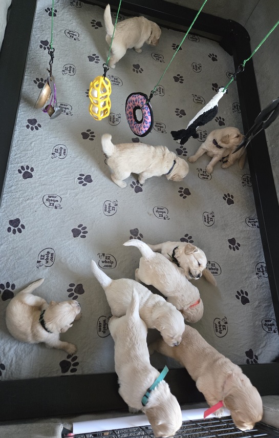 LAYLA 3.5 WEEK GROUP BEST 2 LAYLA 3.5 WEEK GROUP BEST 2