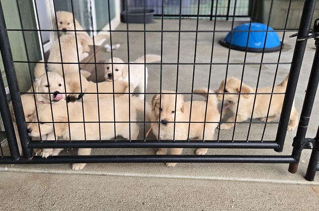 LAYLA OUTSIDE BEST LAYLA OUTSIDE BEST