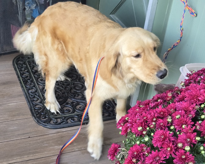 SASSY PHOTO 2 BEST SASSY PHOTO 2 BEST