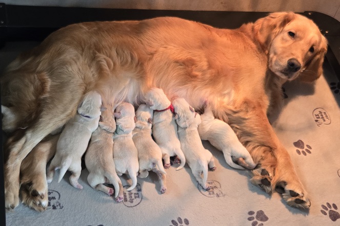 SASSY 1 WEEK GROUP BEST1