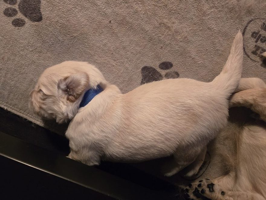 SASSY 2 WEEK PICS BLUE