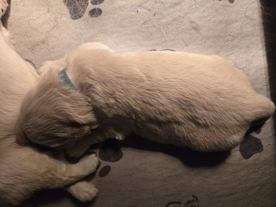 SASSY 2 WEEK PICS GREEN BEST