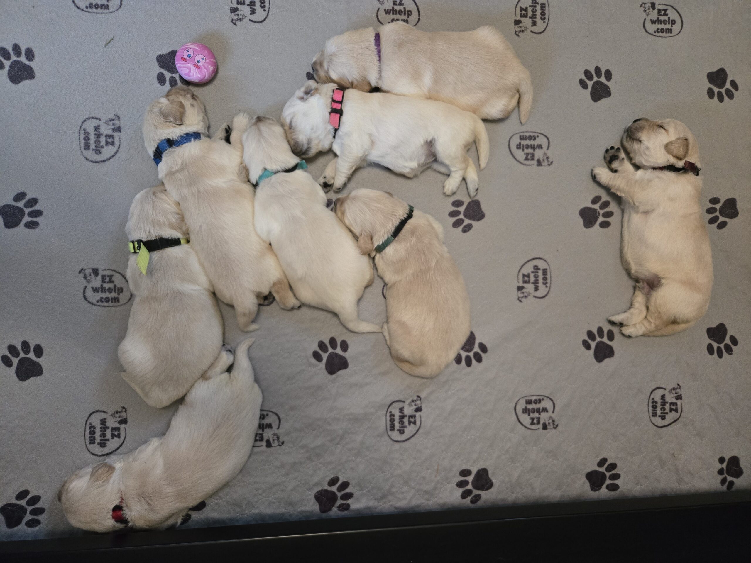 SASSY 2 WEEK PICS GROUP BEST