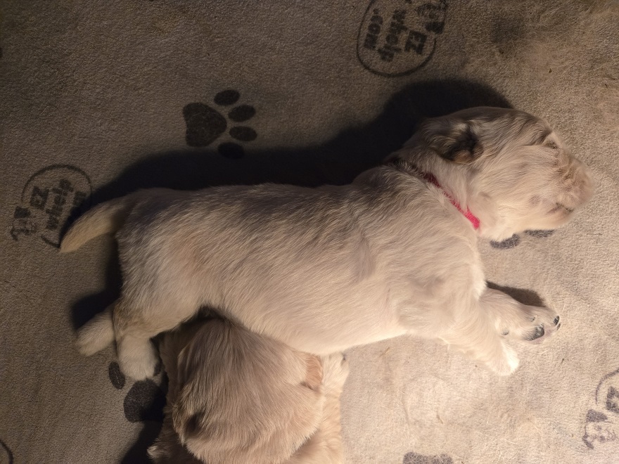 SASSY 2 WEEK PICS RED BEST