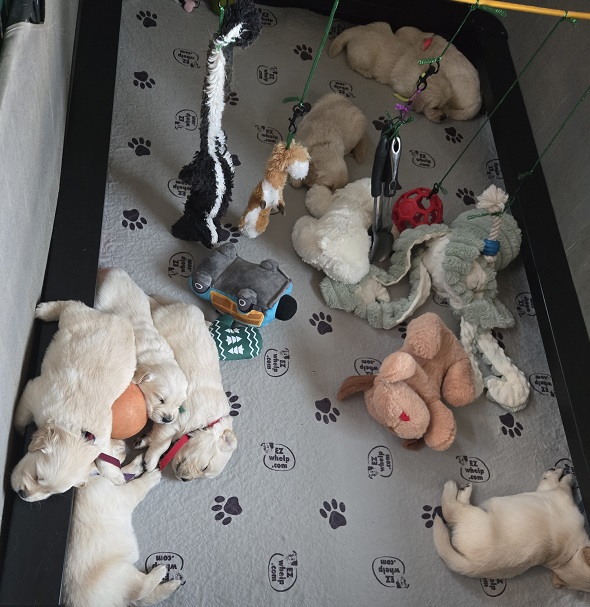 SASSY 3.5 WEEKS GROUP BEST