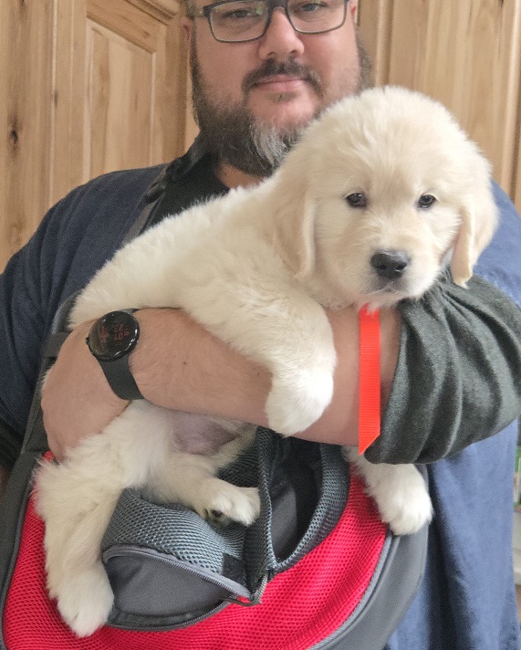 RUFFLES 2025 ORANGE COLLAR BEST