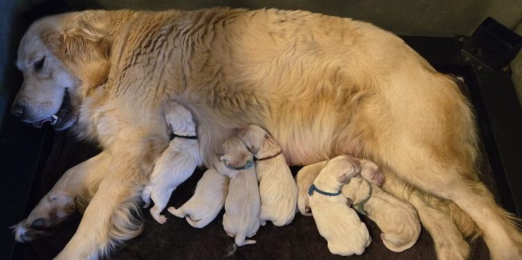 TROUBLES DAY 1 GROUP OF 7 BEST