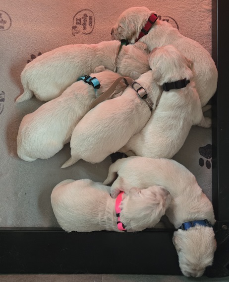 TROUBLES 2 WK GROUP BEST