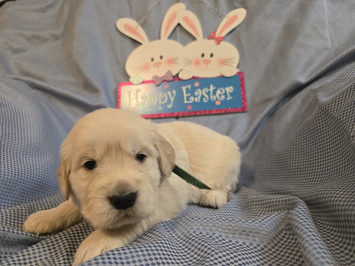 TROUBLES 3 WEEK PICS HUNTER BEST