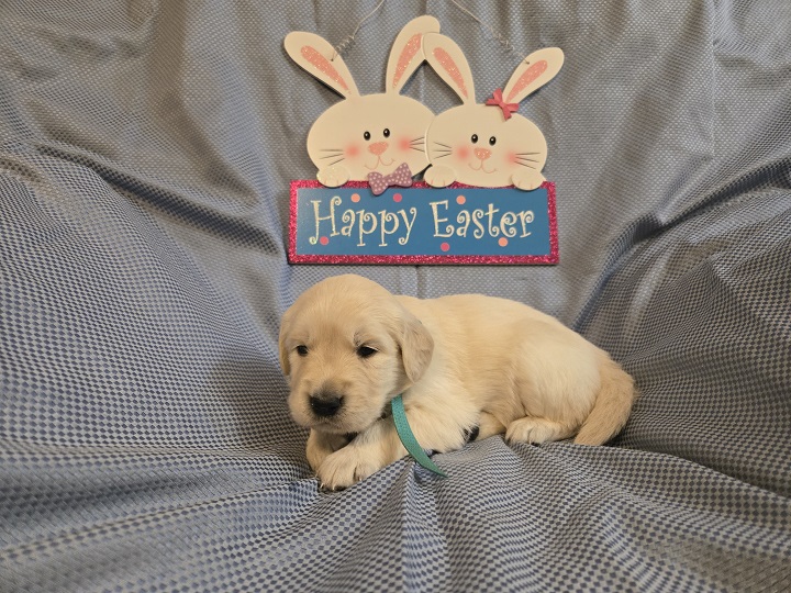 TROUBLES 3 WEEK PICS TEAL BEST