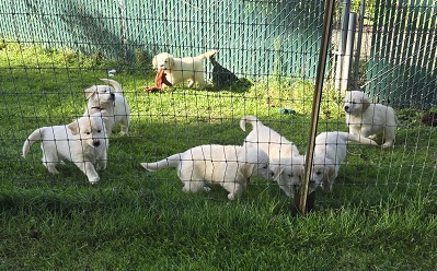 TROUBLES 7.5 WEEKS GROUP BEST2