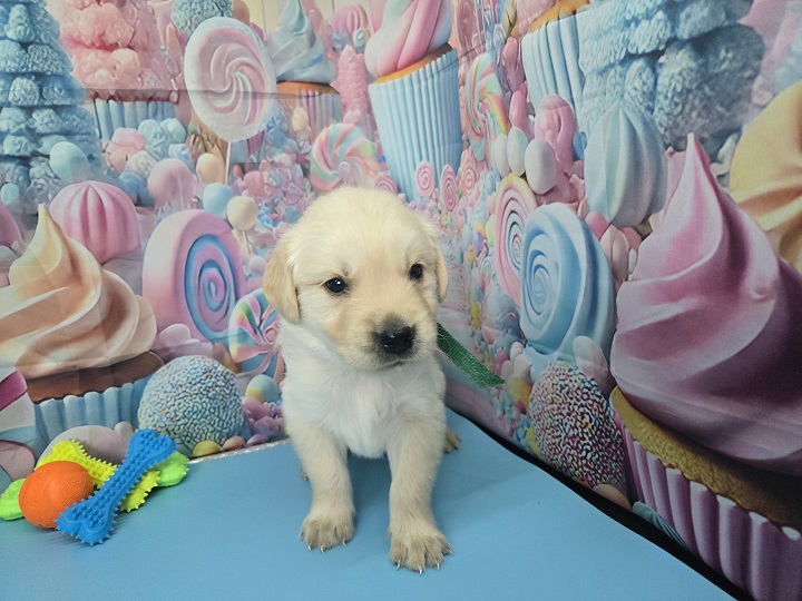 JASMINE 4 WEEK PICS HUNTER BEST
